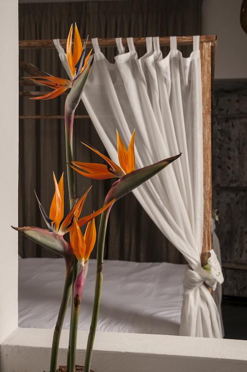 Seven Maze Charming House Bed & Breakfast Bari Room photo